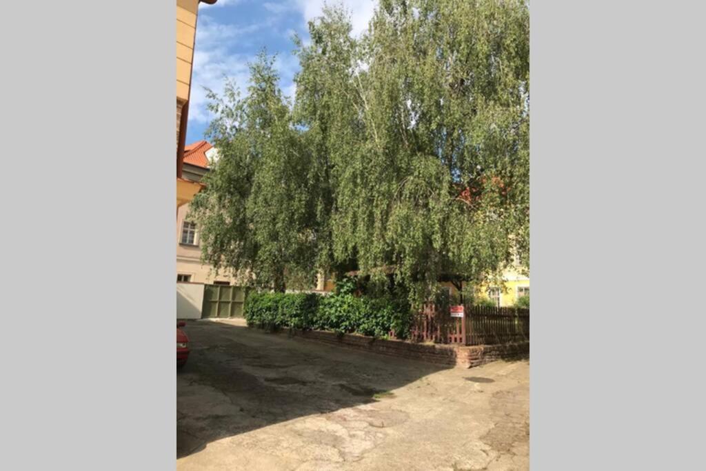 Rose Apartments / Romantic & Cozy / City Center Prag Exteriör bild