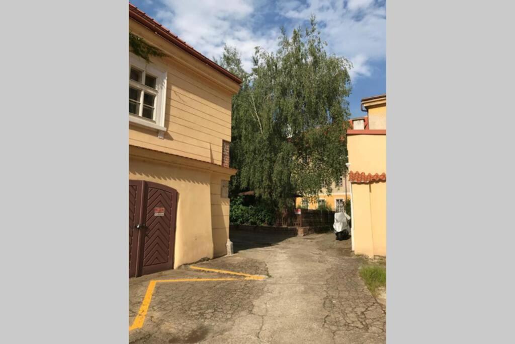 Rose Apartments / Romantic & Cozy / City Center Prag Exteriör bild