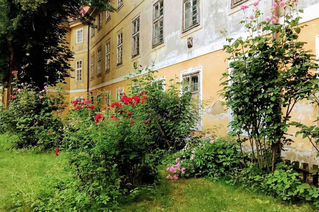 Rose Apartments / Romantic & Cozy / City Center Prag Exteriör bild